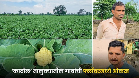 Vegetable Farming