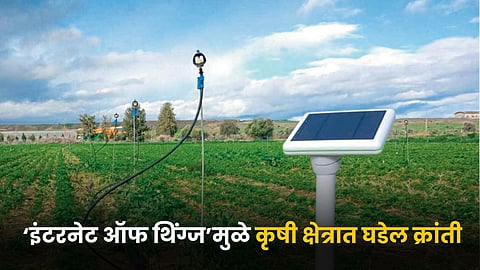 IoT in Agriculture