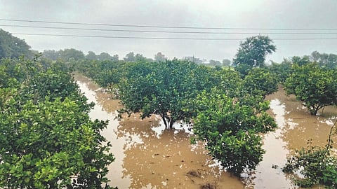 Rain  