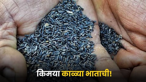 Kala Jeera Rice