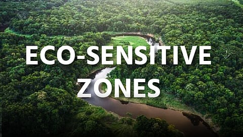Ecosystem Preservation