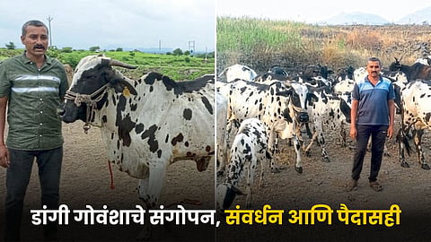 Animal Husbandry 