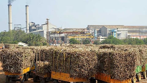 Sugar Control Act
