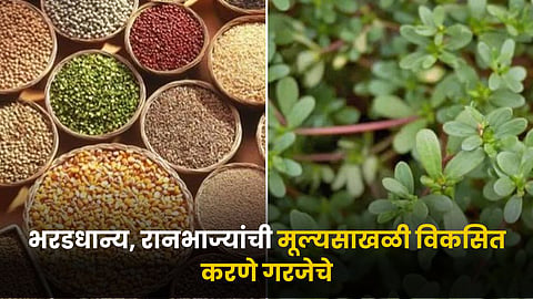 Millets and Wild Vegetables