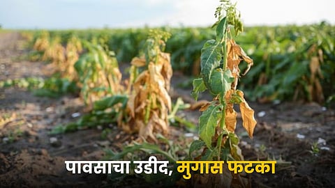 Crop Issue