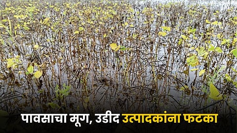 Crop Issue