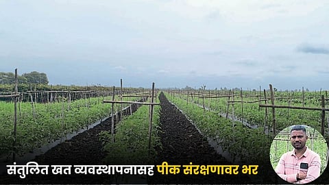 Indian Agriculture