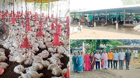 Poultry Farming