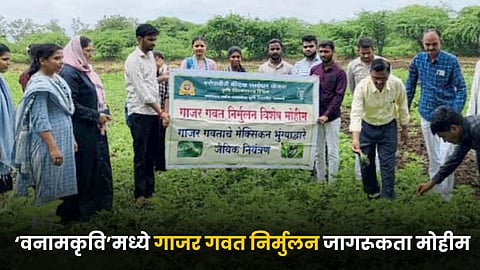 VNMKV Parbhani