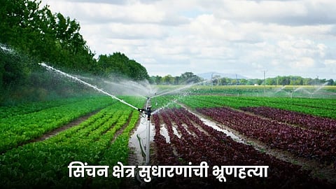Agriculture Irrigation