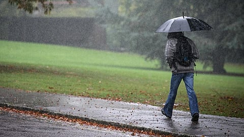 Rain Forecast