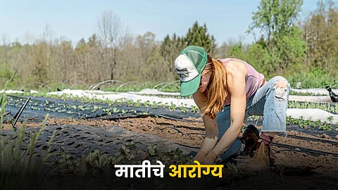 Soil Health
