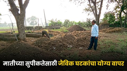 Organic farming