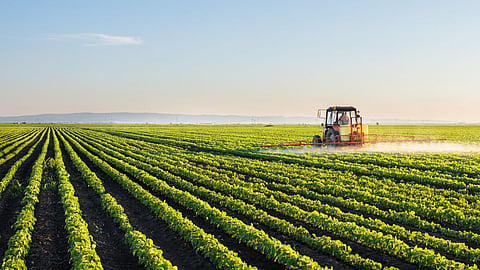 Agriculture