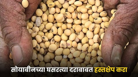 Soybeans Price