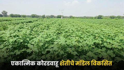 Integrated Farming System