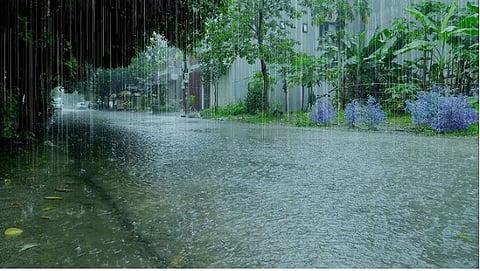 Rain