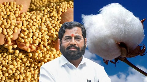 Soybean Cotton Madat