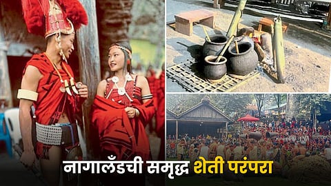 Nagaland Tradition