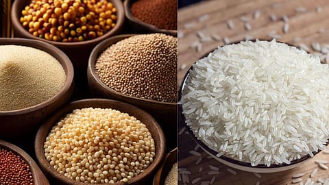 Rice Millets Procurement