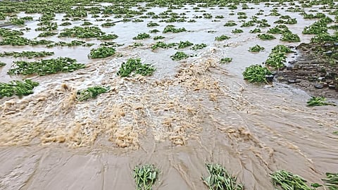 Heavy Rain