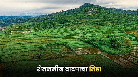 Land Issue
