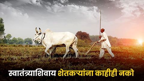 Indian Farmer