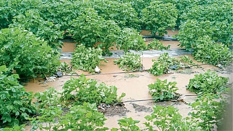 Heavy Rain