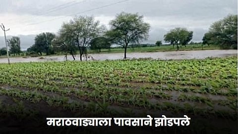 Marathwada Rain 