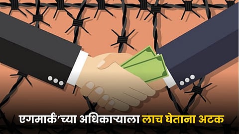Agmark Bribe News 