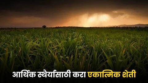 Indian Agriculture