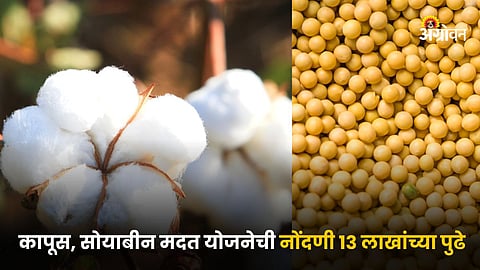 Cotton Soybean Registration 