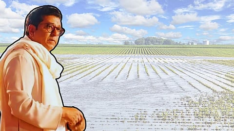 Raj Thackeray On Marathawada Crop Damage