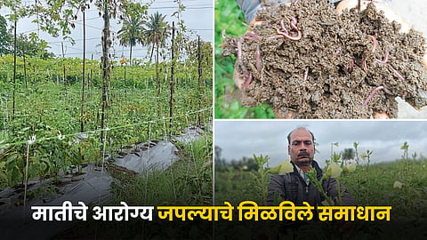 Soil Health
