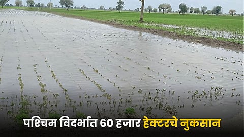 Crop Damage