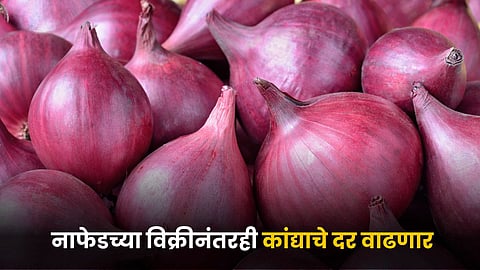 Onion Market Rate