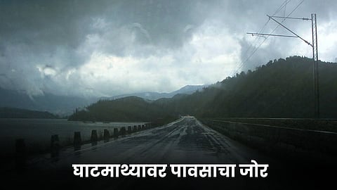 Rain Update 