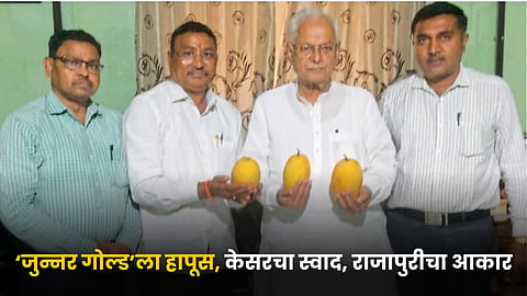 Mango Variety 