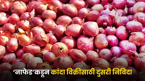 Onion Market