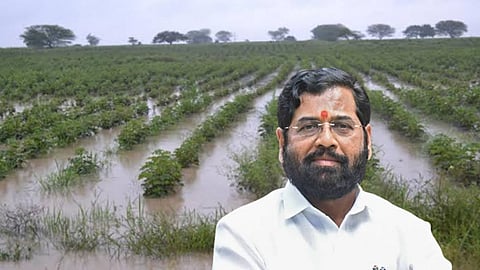 Crop dange with cm