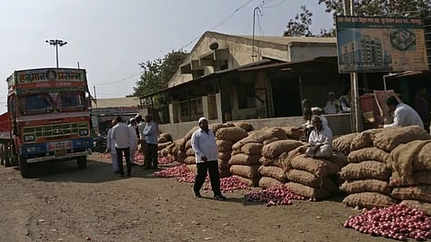 Solapur APMC 