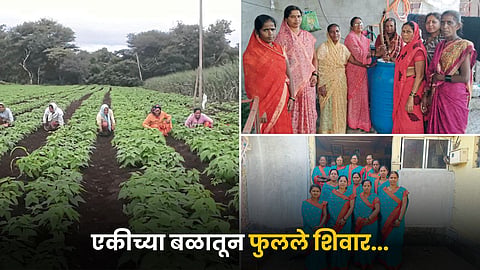 Agriculture
