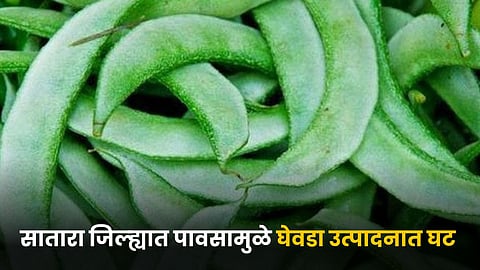 Ghevda Vegetable