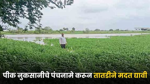 Crop Damage Survey