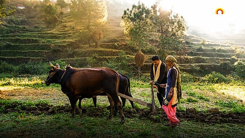 Indian Agriculture