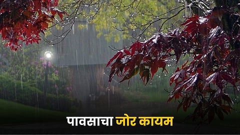 Rainy Weather