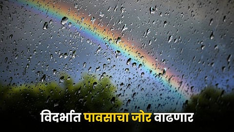 Rain