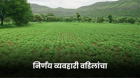 Agriculture Land