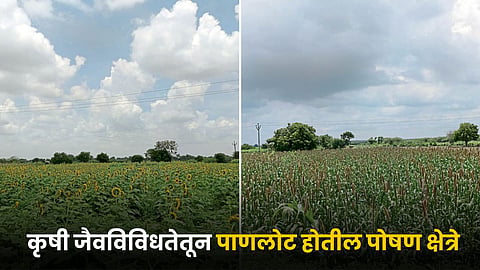 Agriculture