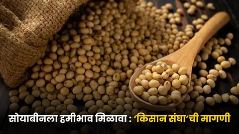 Soybean MSP